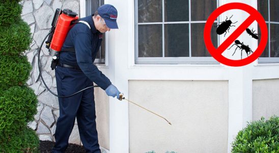 Viranşehir Bit İlaçlama böcek ilaçlama ve haşere kontrolü — ilaclama-tr.com
